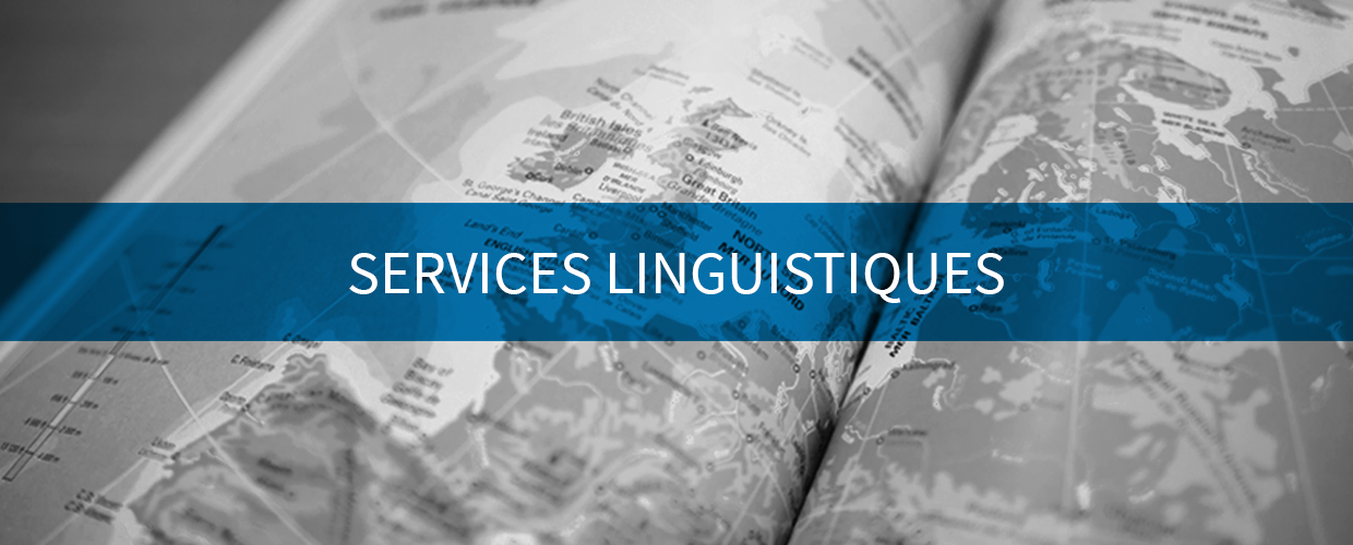 SERVICES Linguistiques image - une carte de l'europe